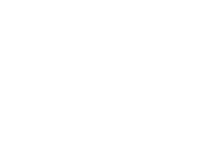 basis-white